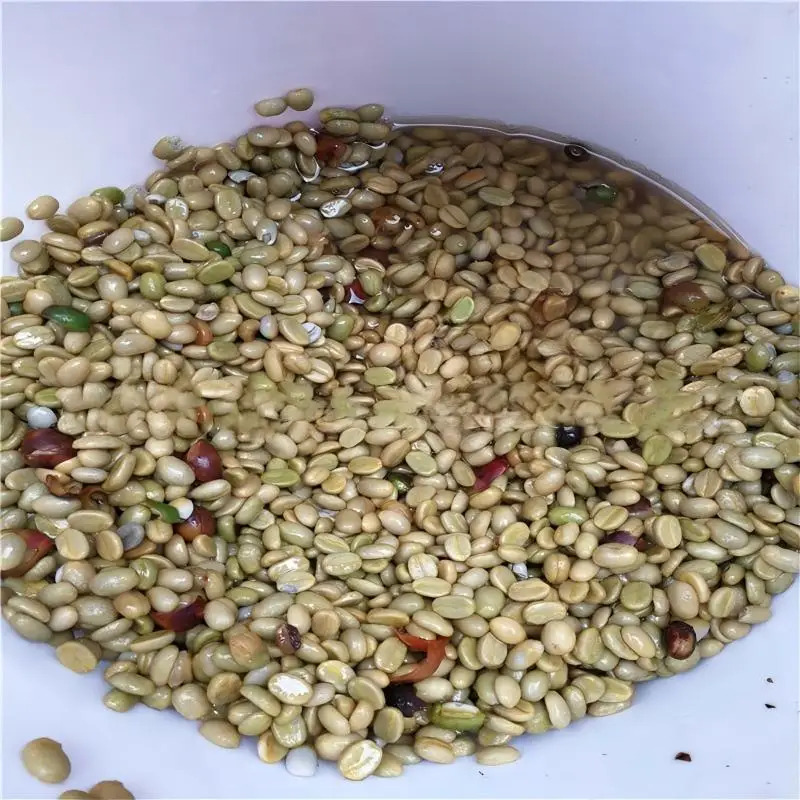 Macchina per la Tostatura del  - Coffee Equipment In China recensione e prezzo